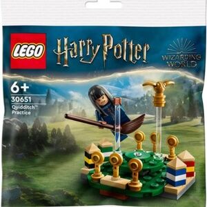 LEGO Harry Potter "Quidditch Practice" 30651 polybag UNOPENED